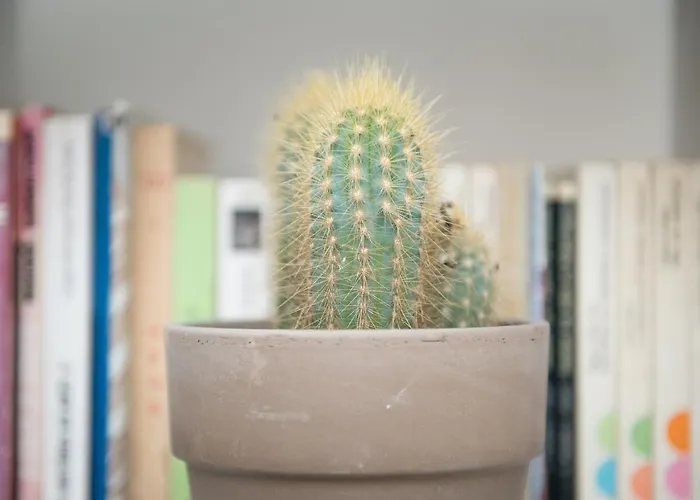 Flattered To Be In شقة Lisboa